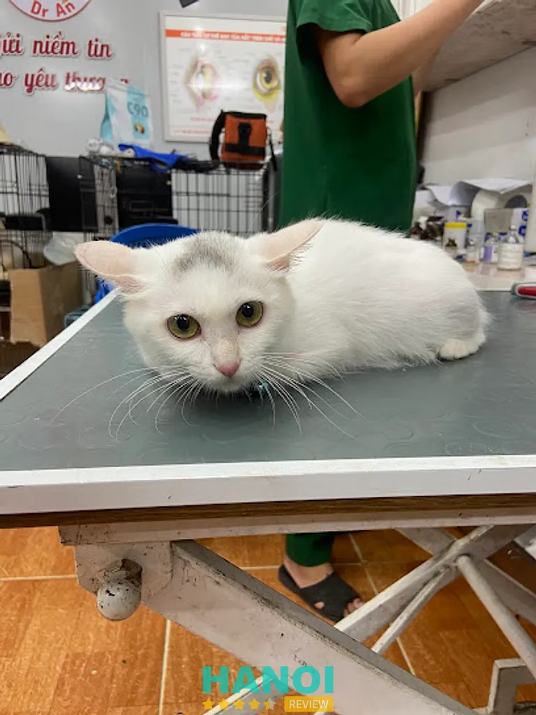 Phòng khám thú y Dr.An: 69 Nguyễn Trực, P. Phú Lương