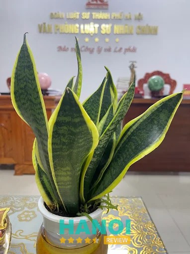 Văn phòng Luật sư Nhân Chính hình ảnh 1