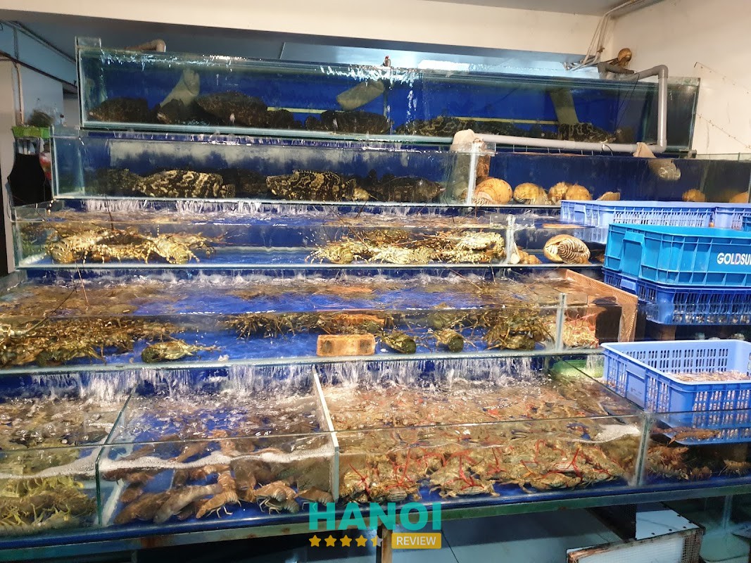 Nhà Hàng Thuận Phát Đông Anh
