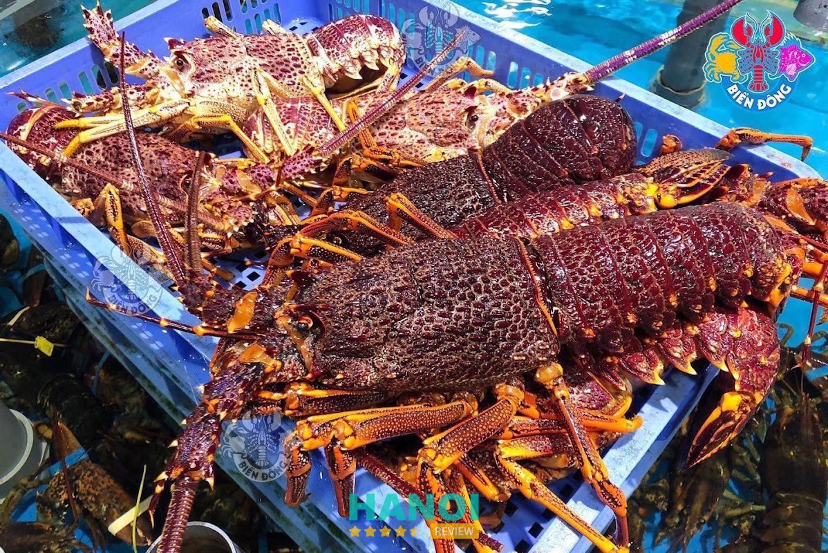 Nhà Hàng Hải Sản Biển Đông – hình ảnh 2