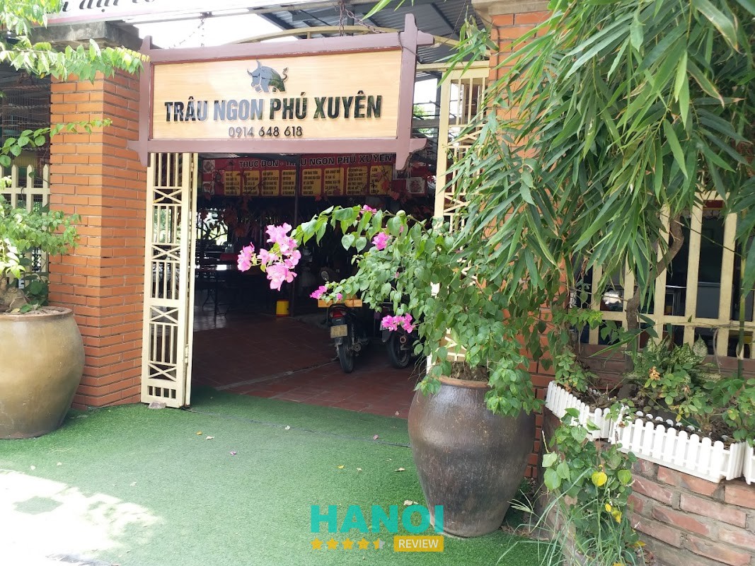 Trâu Ngon Phú Xuyên Phú Xuyên