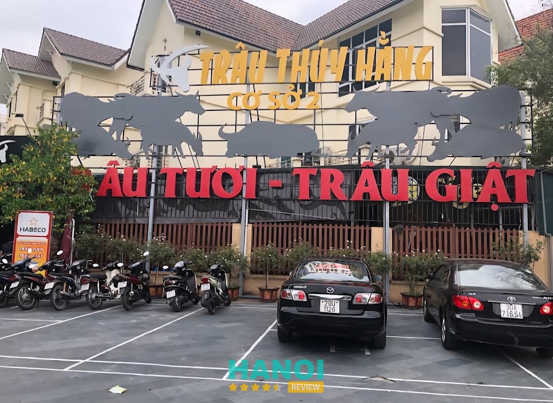 Trâu Thuý Hằng Hà Nội