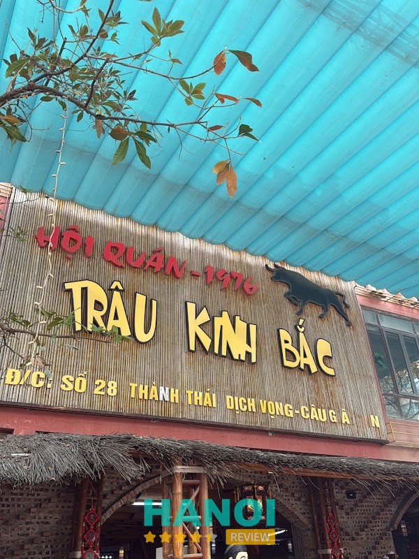 Trâu Kinh Bắc Thành Thái