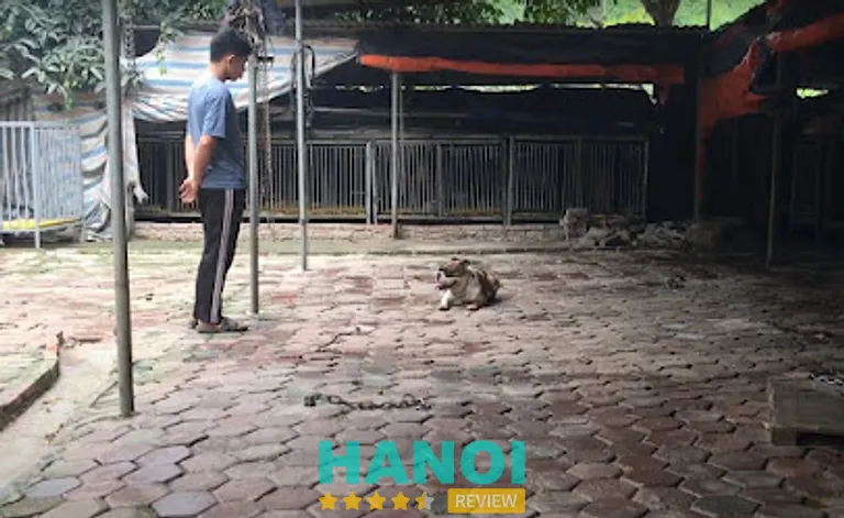 Trung Tâm Huấn Luyện Chó Trí Linh: KST Đầm Trành, Long Biên